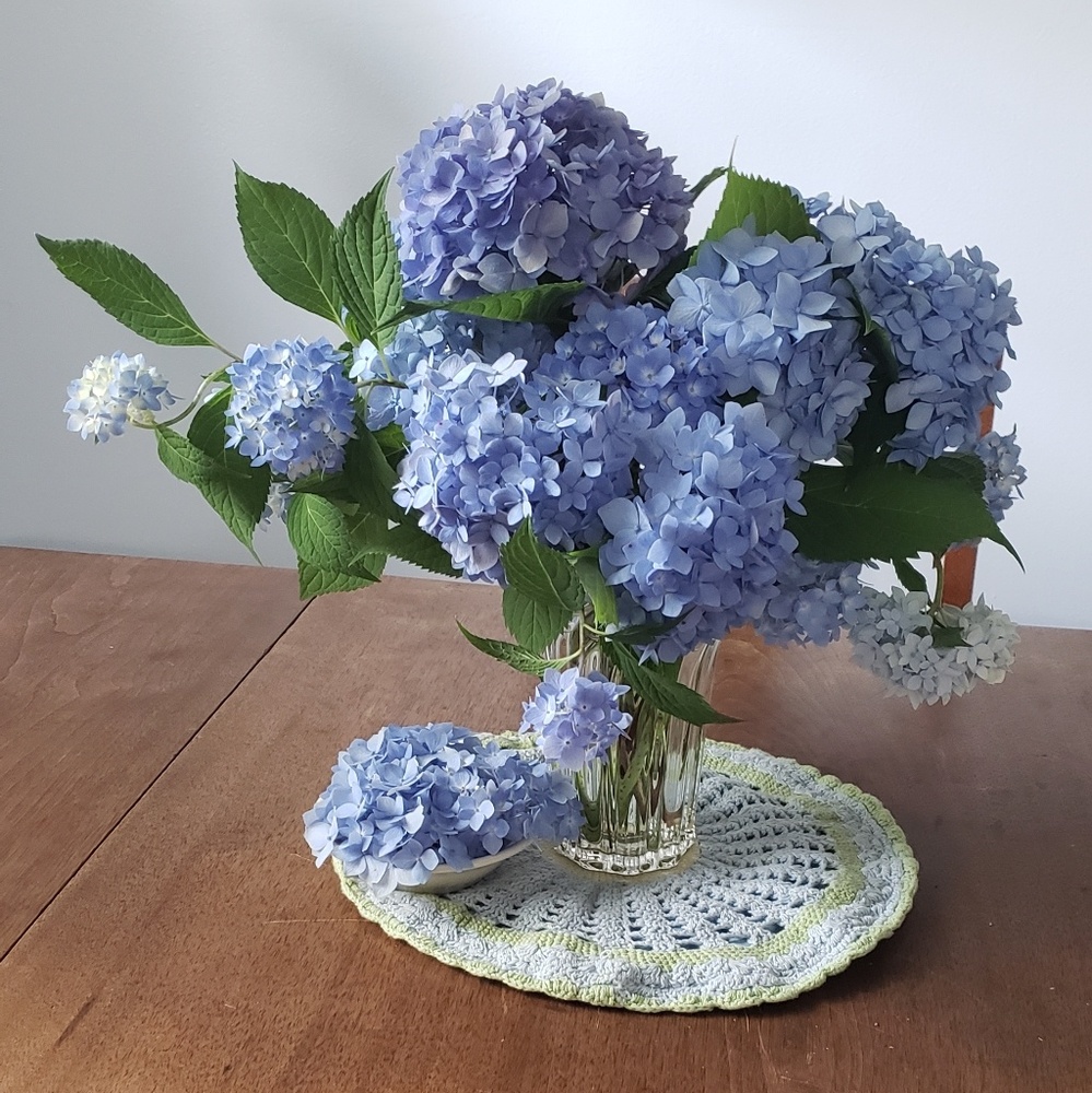 Meet your Posher, Anita